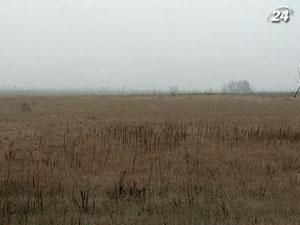 Укргідрометцентр: Через сильні морози постраждають близько 30% озимих Укргідрометцентр: Через сильні морози постраждають близько 30% озимих