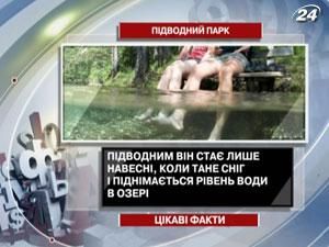 Интересные факты о подводном парке