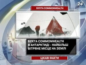 Цікаві факти про бухту Commonwealth
