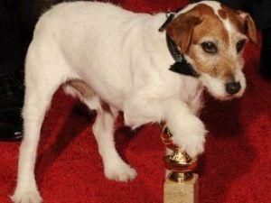 Звездный пес Уги уйдет из кинематографа Звездный пес Уги уйдет из кинематографа