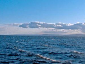 В Черном море произошло землетрясение - 31 января 2012 - Телеканал новин 24 В Черном море произошло землетрясение - 31 января 2012 - Телеканал новин 24