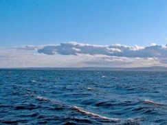 В Черном море произошло землетрясение