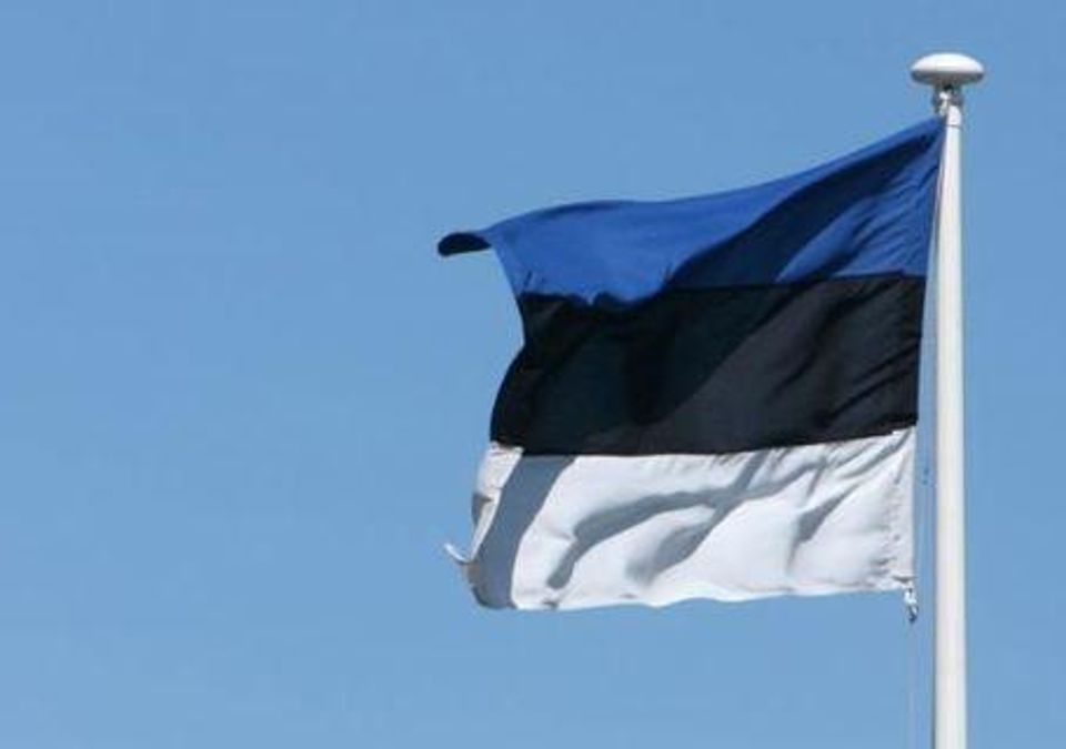 Естонія хоче провести рекордний перепис населення через інтернет Естонія хоче провести рекордний перепис населення через інтернет