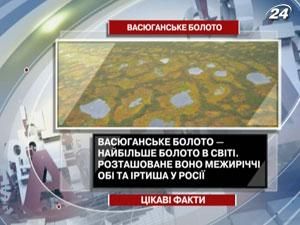 Цікаві факти про найбільше болото в світі