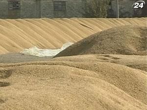 В январе Украина экспортировала 2 млн. тонн зерна