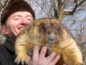 Бабак Тимко передбачив ранню затяжну весну Бабак Тимко передбачив ранню затяжну весну