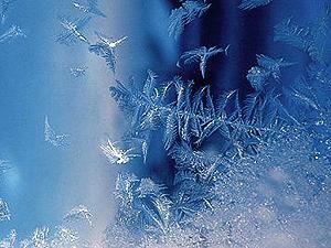 Від сильних морозів з 27 січня померли понад 100 українців Від сильних морозів з 27 січня померли понад 100 українців