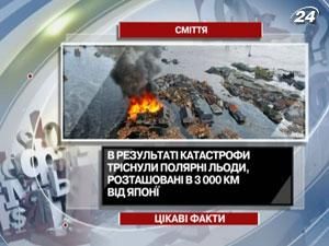 Цікаві факти про наслідки цунамі у Японії