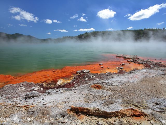 В Новой Зеландии расположен бассейн с шампанским В Новой Зеландии расположен бассейн с шампанским