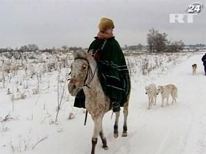 В России набирает популярность охота с борзыми