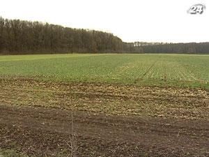 Эксперты: зерновые придется пересеять на 2,3 млн. га площадей