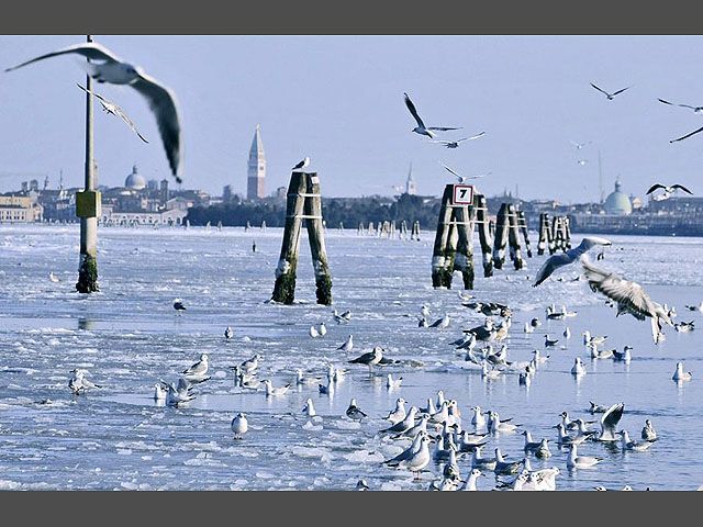 Венеція опинилась в криговій пастці вперше за 80 років Венеція опинилась в криговій пастці вперше за 80 років