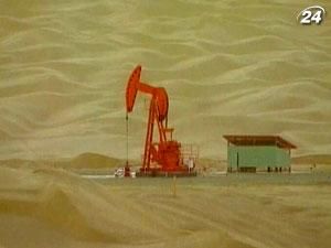 Крупнейшим импортером иранской нефти в январе стала Индия Крупнейшим импортером иранской нефти в январе стала Индия