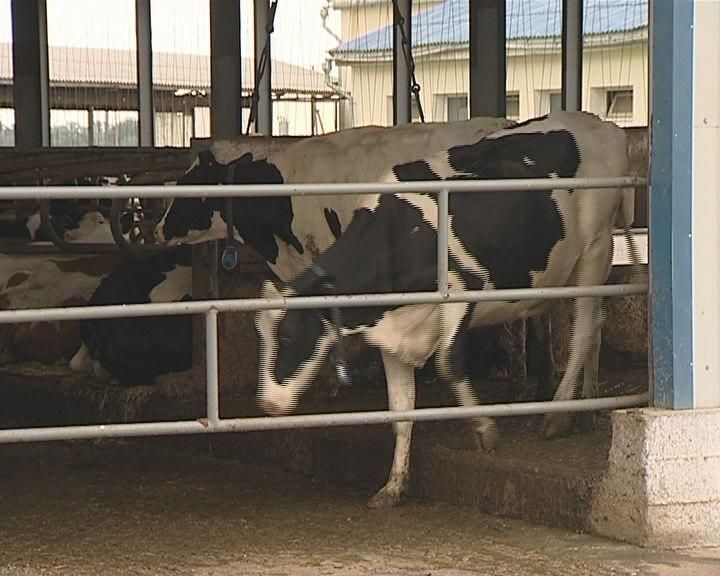 Держава визначатиме напрямок діяльності сільгосппідприємств Держава визначатиме напрямок діяльності сільгосппідприємств