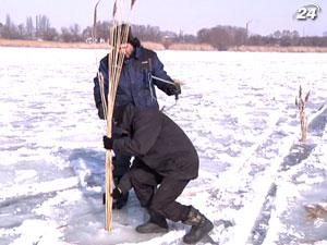 Через лід на водоймах рибі загрожує кисневе голодування 