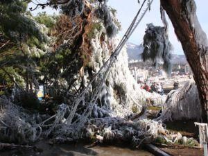 Збиток від шторму в Алушті та Ялті склав 16 мільйонів гривень Збиток від шторму в Алушті та Ялті склав 16 мільйонів гривень