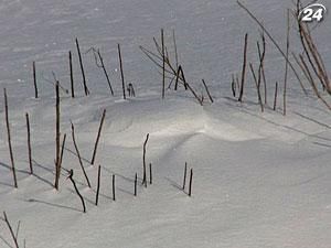 Азаров: Пересеять придется 3,5 млн гектаров озимых Азаров: Пересеять придется 3,5 млн гектаров озимых