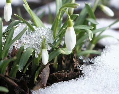 Синоптики прогнозируют весну после первой декады марта