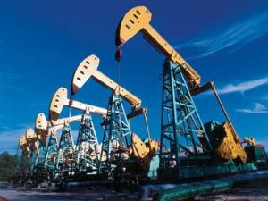 ЕС будет искать новые источники нефти