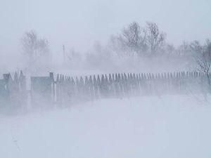 На Закарпатті оголосили про штормове попередження