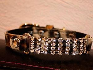 У Франції зловмисники викрали з могили собачий нашийник з алмазами У Франції зловмисники викрали з могили собачий нашийник з алмазами