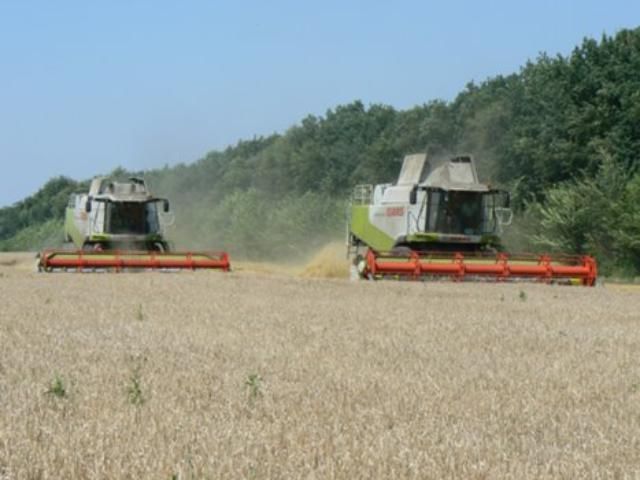 Украинским фермерам придумали новый налог Украинским фермерам придумали новый налог