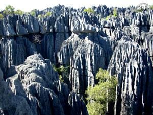 Мадагаскар: пригодницький тур островом обійдеться у €800