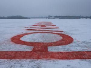 Про звільнення Тимошенко написали на льоду