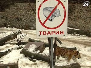 Травми пораненого працівника звіринцю не загрожують його життю Травми пораненого працівника звіринцю не загрожують його життю