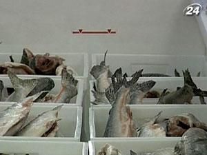 Украина постепенно сокращает вылов рыбы во внутренних водоемах
