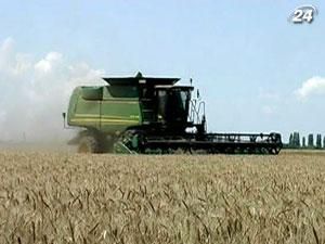 В Евросоюзе опасаются украинского неурожая В Евросоюзе опасаются украинского неурожая