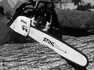 Український підліток спиляв 19 білоруських берізок Український підліток спиляв 19 білоруських берізок