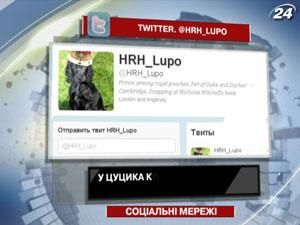 У цуцика королівської родини з'явився мікроблог У цуцика королівської родини з'явився мікроблог
