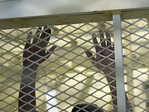 Amnesty: Влада не дає допомогти біженцям у Афганістані Amnesty: Влада не дає допомогти біженцям у Афганістані