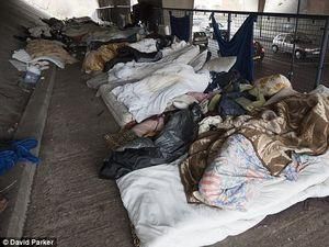 Поруч із аеропортом Хітроу під мостом живуть мігранти-безхатченки Поруч із аеропортом Хітроу під мостом живуть мігранти-безхатченки