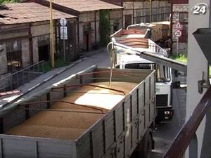 Експорт кукурудзи з України може зрости на 20% Експорт кукурудзи з України може зрости на 20%