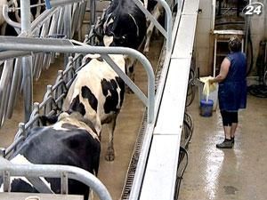 Українські виробники молока прагнуть вийти в лідери з експорту
