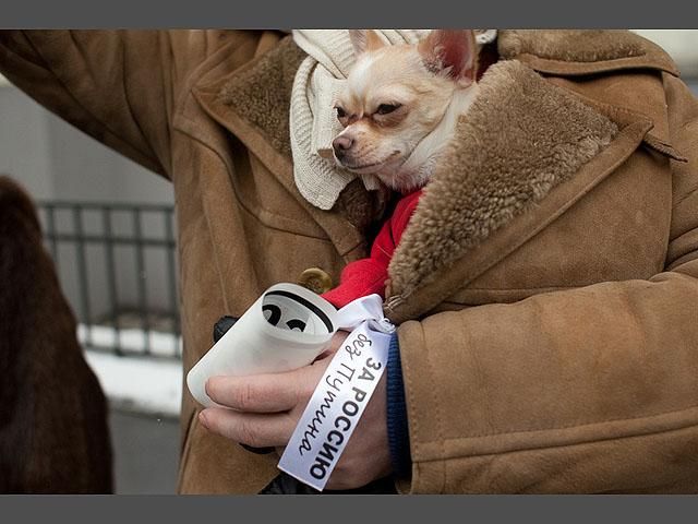 В Москве прошла оппозиционная акция "Большое белое кольцо" В Москве прошла оппозиционная акция "Большое белое кольцо"