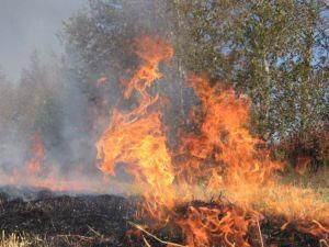 Буковина: У вогні загинули двоє дітей
