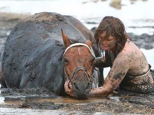 Жінка відважно боролася за життя свого коня Жінка відважно боролася за життя свого коня