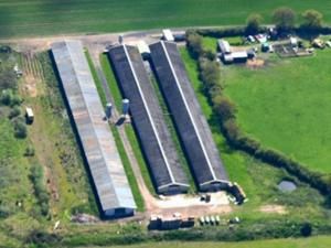 Англійський актор виростив найбільше марихуани та потрапив до в'язниці Англійський актор виростив найбільше марихуани та потрапив до в'язниці