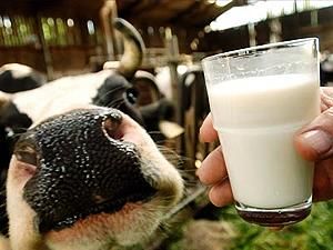 Азаров проникся ценами на молоко