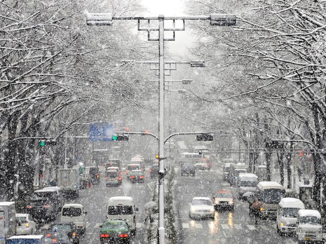 115 человек погибли в результате снегопадов в Японии