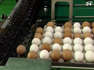 АМКУ рекомендував птахофабрикам не підвищувати ціни на яйця
