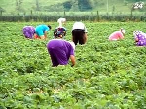 Аграріям бракує кваліфікованих працівників