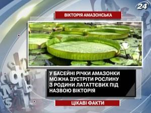 Цікаві факти про рослину “Вікторія амазонська”