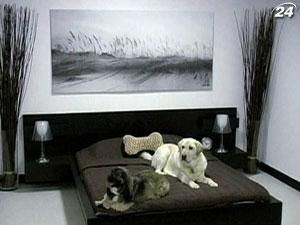 Мешканці США у 2011 р. витратили на домашніх тварин $50 млрд. Мешканці США у 2011 р. витратили на домашніх тварин $50 млрд.