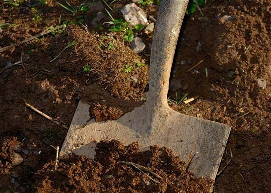 В Шри-Ланке мужчина умер при попытке вылезти из могилы В Шри-Ланке мужчина умер при попытке вылезти из могилы