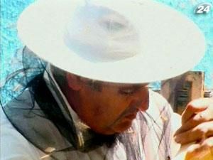 Пасічники повинні контролювати якість меду Пасічники повинні контролювати якість меду