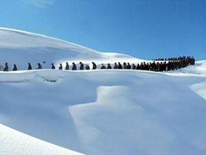 Лавина уничтожила поселок в Афганистане Лавина уничтожила поселок в Афганистане